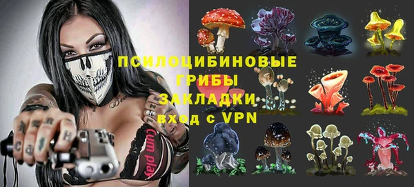 тгк Михайловск