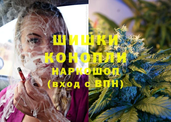 тгк Михайловск