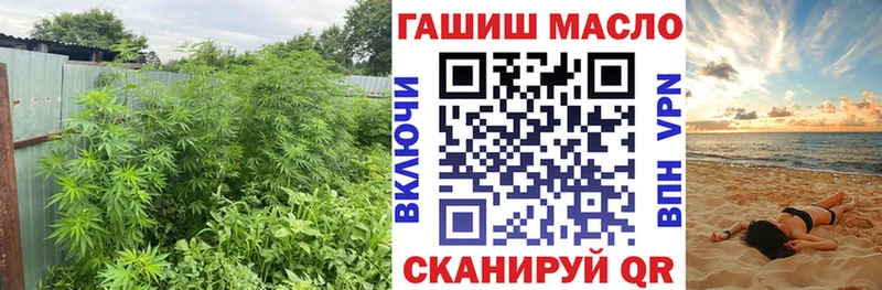 как найти   Новодвинск  ТГК жижа 