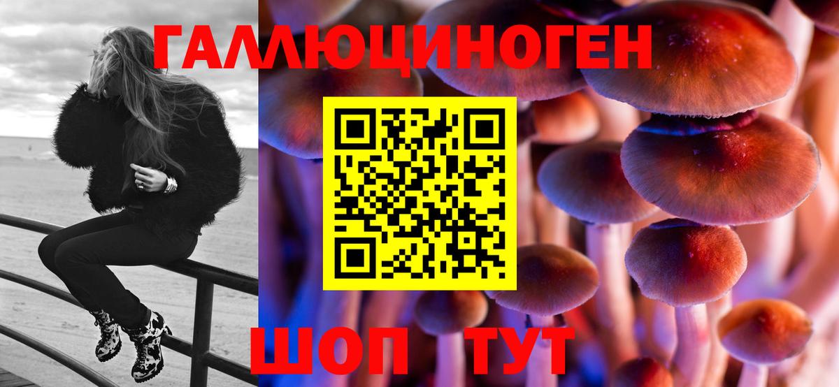 Галлюциногенные грибы ЛСД Новодвинск