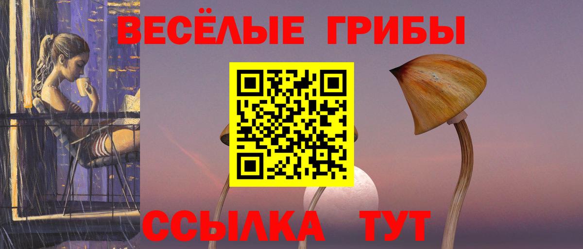 Галлюциногенные грибы Psilocybine cubensis  Вход с VPN  Новодвинск 